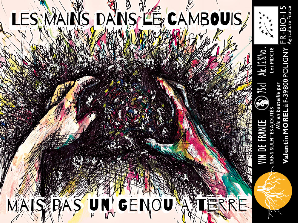 CAMBOUIS-TERRE(1)